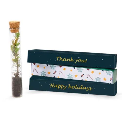 Plant gift - Image 1